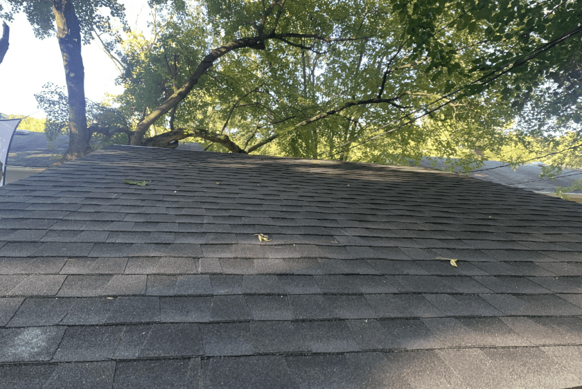 Completed Asphalt Shingle Shed Roof Project