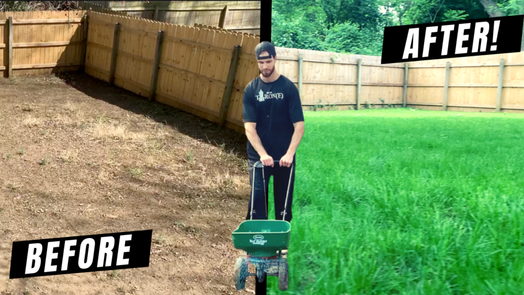 Learn How to Grow a Lawn From Scratch Using Grass Seed
