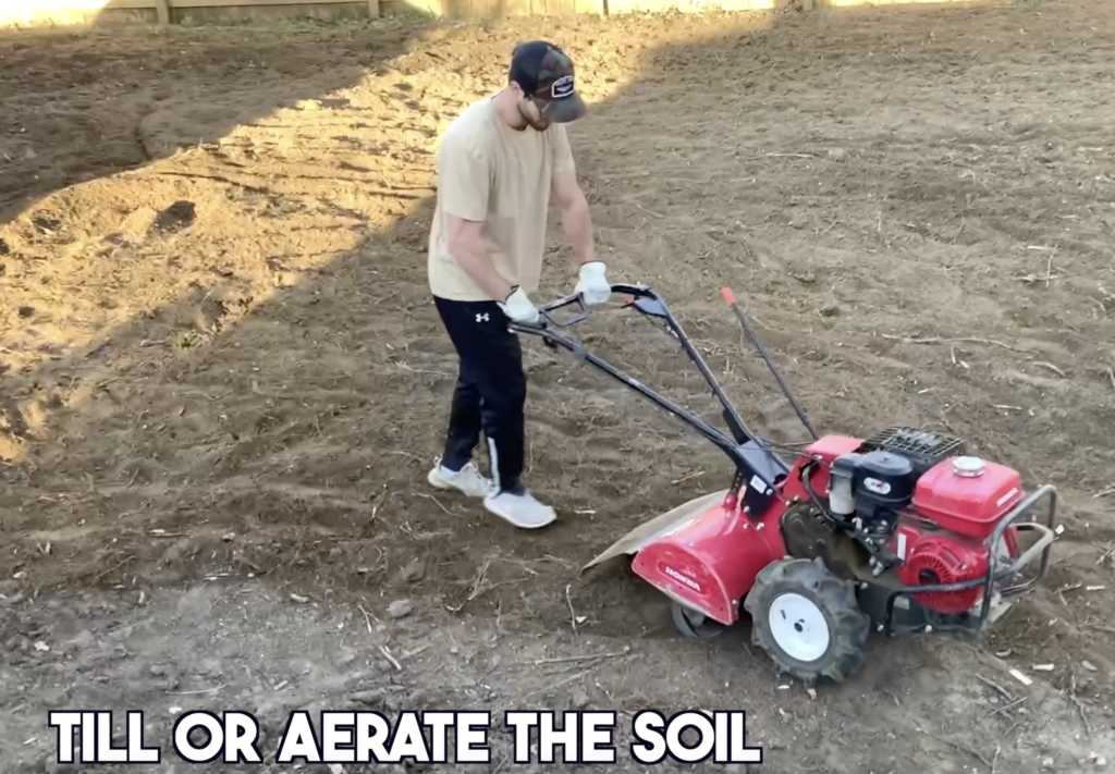 Till your lawn in order to loosen the soil